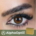 Spice Solitaire Brown – Lentille Soleko Queen's